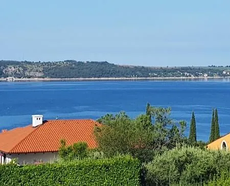Tramontana Nr